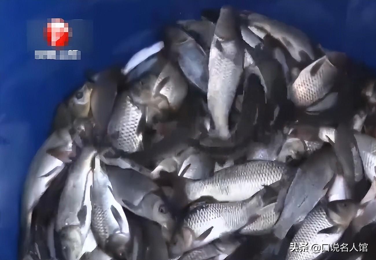 致富养殖什么最赚钱_如何养殖致富_60岁养殖致富秘诀