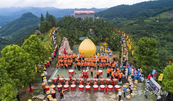 湖北柚子产地在哪里_湖北种柚子吗_湖北种植柚子致富