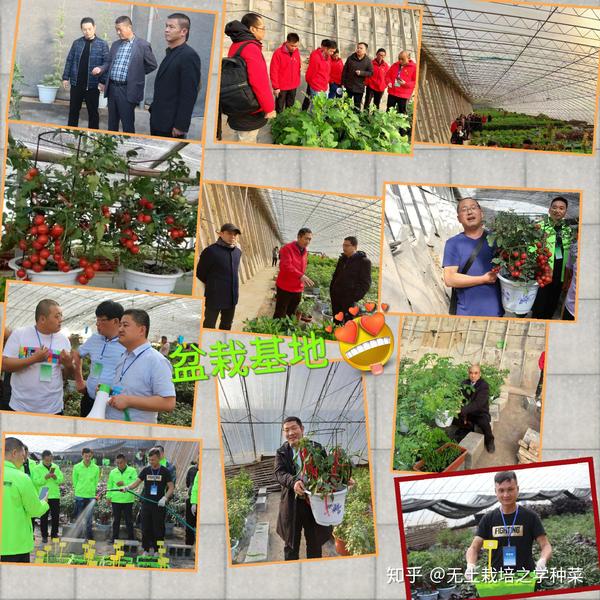 羊种介绍_羊的品种种植技术_羊种植品种技术要求