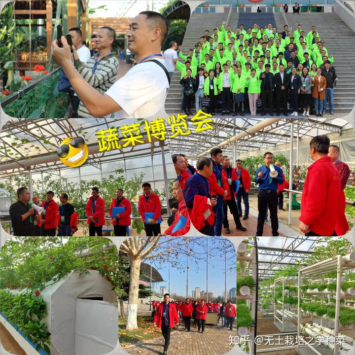 羊种植品种技术要求_羊种介绍_羊的品种种植技术