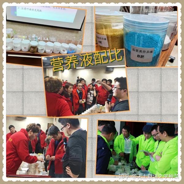 羊种植品种技术要求_羊种介绍_羊的品种种植技术