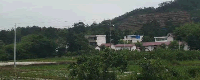 致富经养丘引_致富养殖网_致富经养犬视频全集