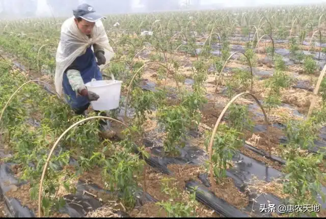 文章图片3