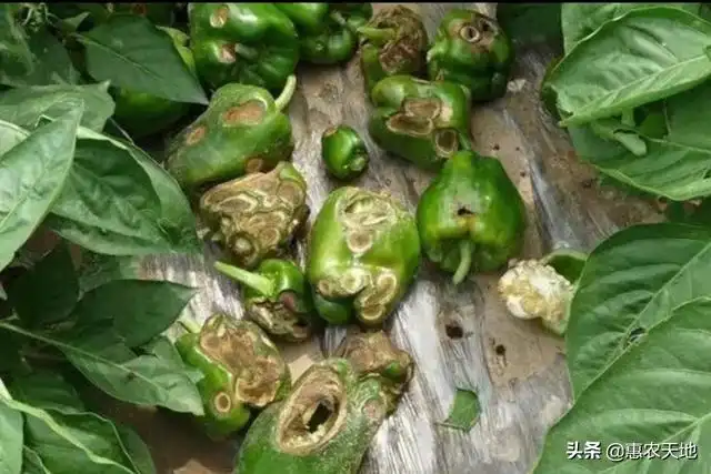 文章图片9