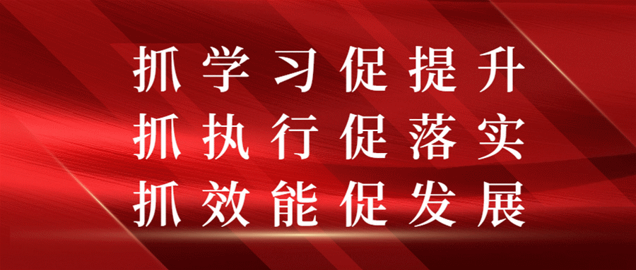 林下养殖致富日报_致富经林下养鸡_致富养殖信息