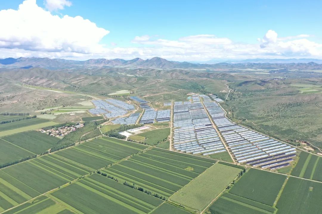 农村致富种植项目_农村致富新项目种植业_种植基地致富增收