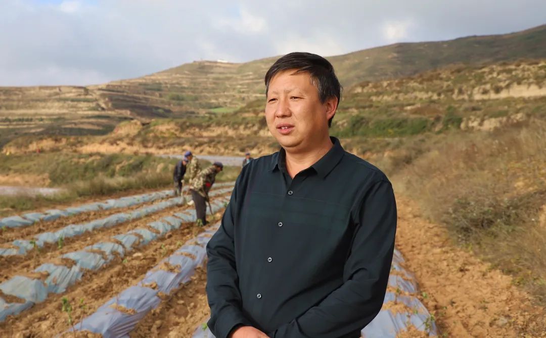 农村靠种金银花致富人_致富种植金银花视频_种植金银花致富