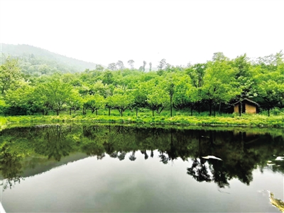 产业+旅游+美丽乡村 绘出脱贫幸福新画卷