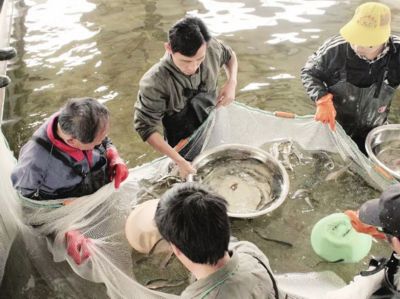 海产养殖致富经_海产养殖利润_海产养殖创业