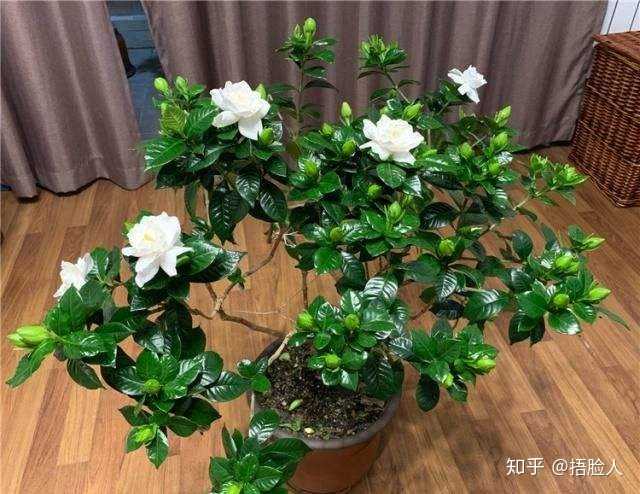 虫子的养殖技术_虫子的养殖_虫子养殖技术培训