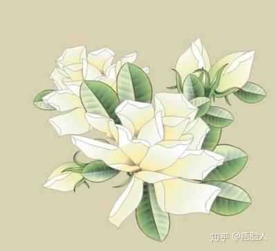 虫子的养殖技术_虫子的养殖_虫子养殖技术培训