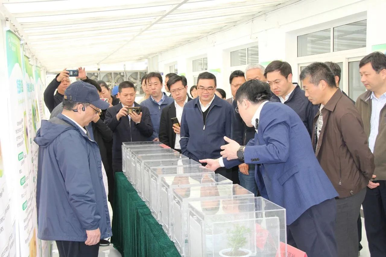 虫子养殖技术视频_虫子的养殖技术_虫子养殖技术培训