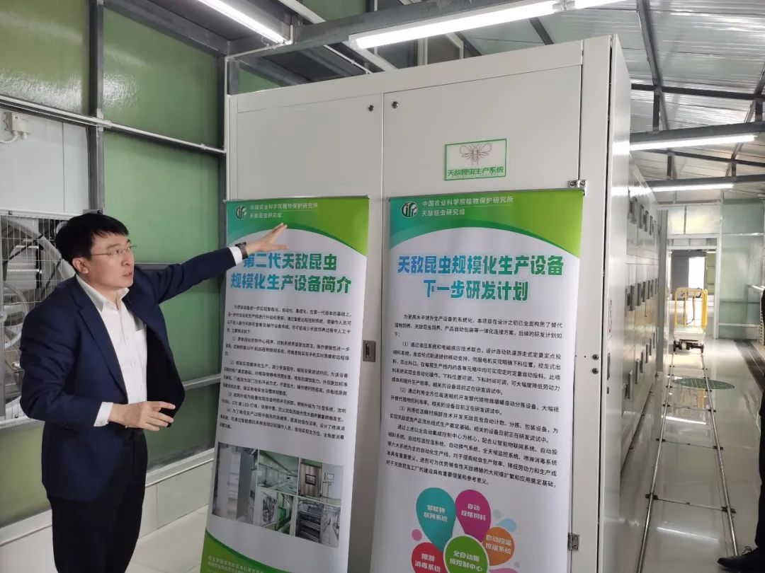 虫子养殖技术培训_虫子的养殖技术_虫子养殖技术视频