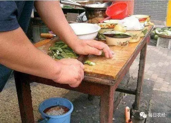 种植养殖致富_种养致富项目_致富养殖业