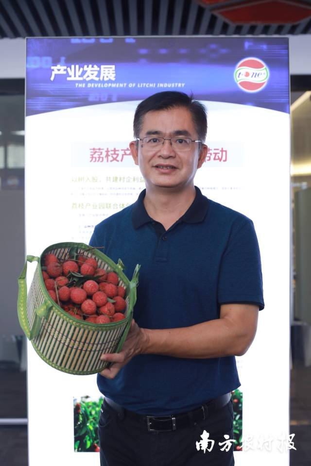 种植荔枝技术视频_荔枝果种植技术_种植果荔枝技术视频