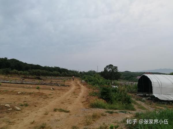 蚯蚓喂养鸡降低成本_致富经养殖蚯蚓喂鸡视频_蚯蚓养鸡技术