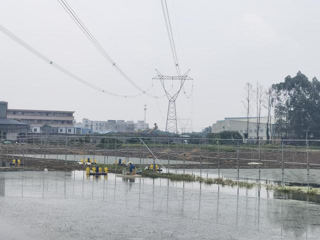 养殖鱼塘生态技术规程_生态鱼塘养殖技术_鱼塘生态养殖方案