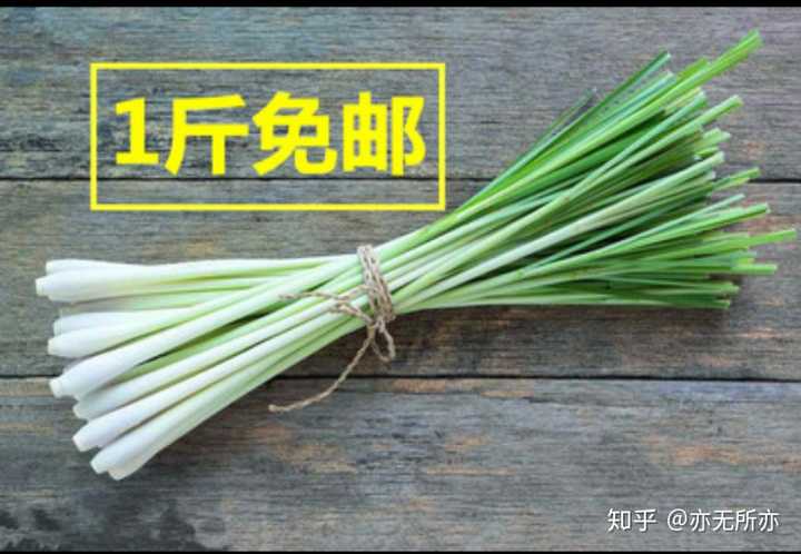 野草莓种植技术_野草莓种子怎么种_野草莓的种植