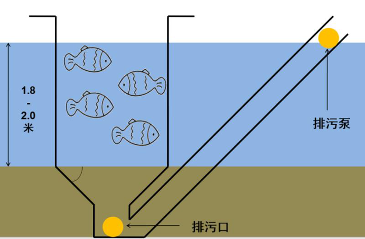 生态鱼塘养殖技术_养殖鱼塘生态技术规程_池塘生态养鱼技术