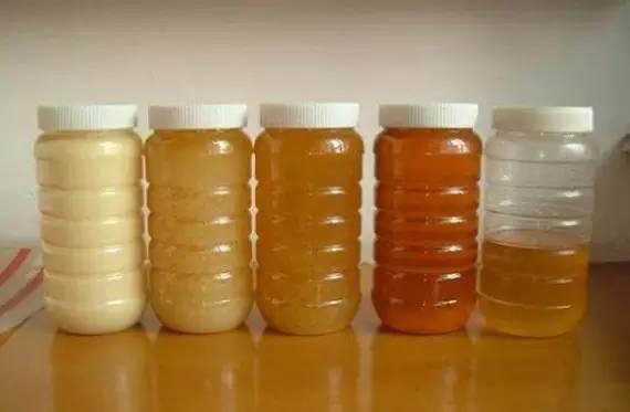 蜜蜂致富养殖土豆视频_土蜜蜂养殖致富_蜜蜂土法养殖