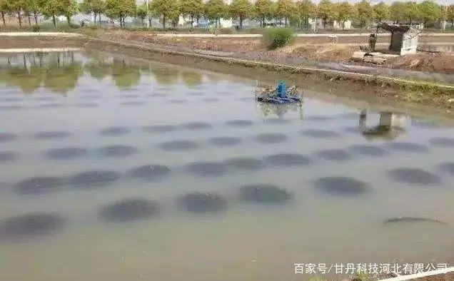 螃蟹养殖方法及水质管理方案