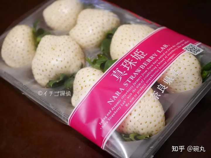 野草莓的种植_野草莓种植技术_草莓野外种植