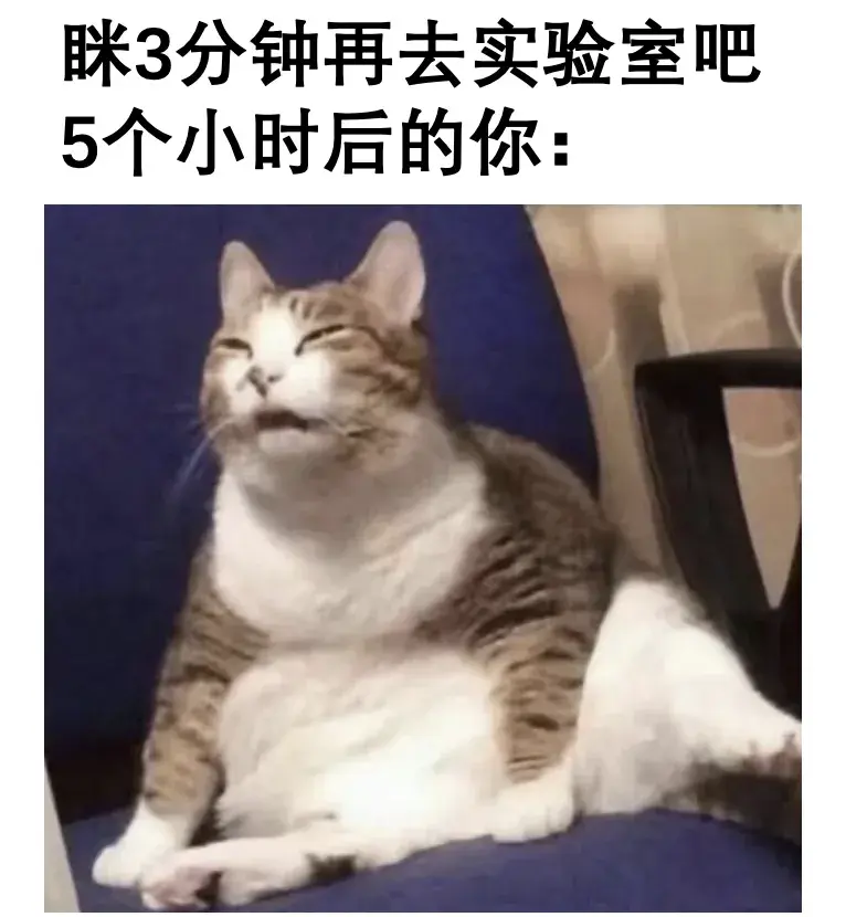 优质回答经验感受的句子_优质回答的经验和感受_优质回答经验感受怎么写
