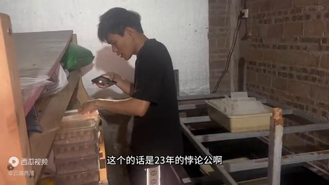 金龟养殖基地怎么样_金龟养殖致富视频_视频致富养殖金龟