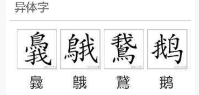 滋补鹅汤_致富经灌汤烤鹅_养生鹅汤的做法