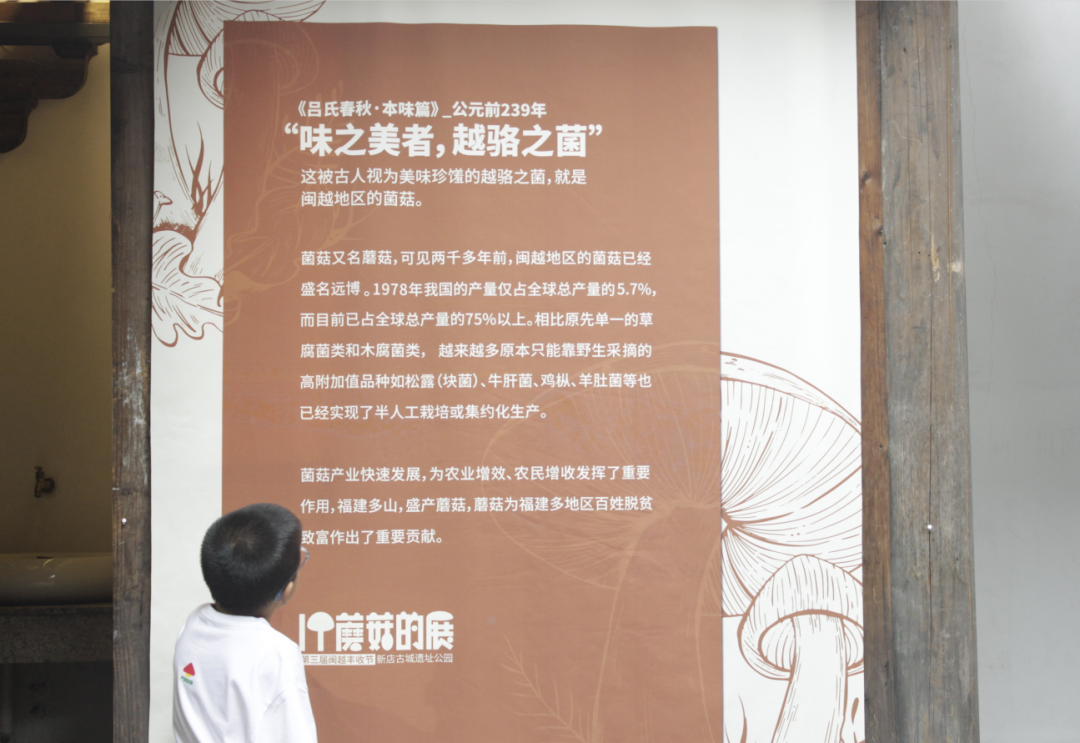 蘑菇种植技术方法图片_蘑菇种植的图片_蘑菇种植图片方法技术图