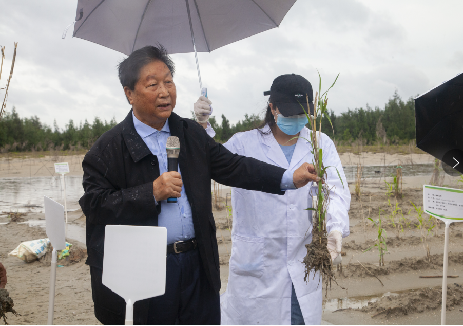蘑菇种植图片方法技术图_蘑菇种植技术方法图片_蘑菇种植的图片