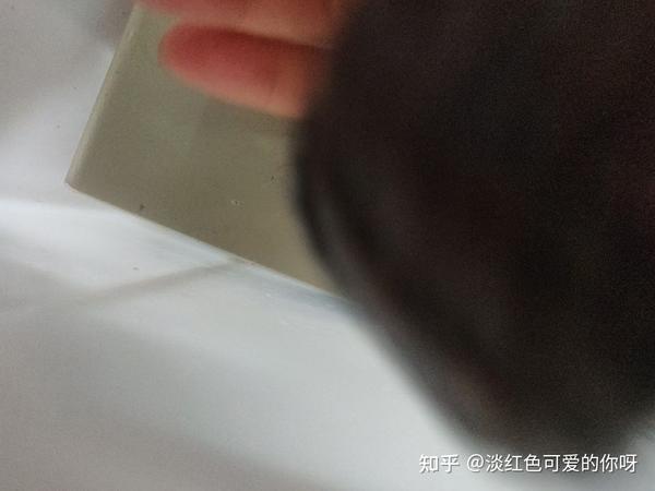 致富经鳄龟视频_致富经鳄龟养殖视频_致富经鳄龟