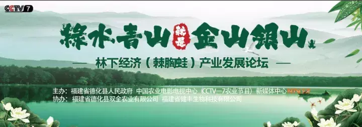 小小棘胸蛙，创出4000万销售额！生态致富并存，林下经济大有为！
