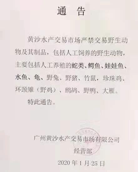 视频致富鳄龟是真的吗_视频致富鳄龟老板_致富经鳄龟视频