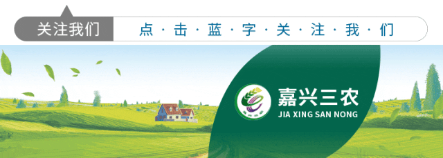 央视《正点财经》聚焦嘉兴蜗牛产业