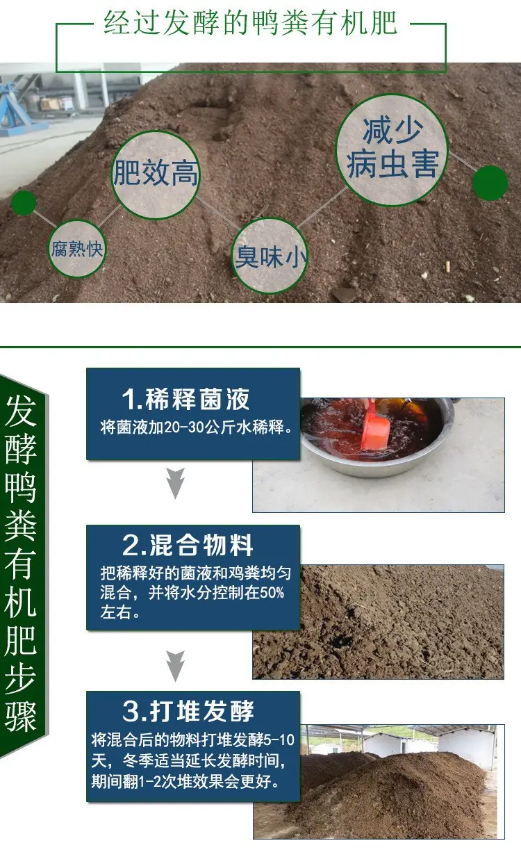 养殖菌类赚钱吗_菌类养殖技术视频_EM菌养殖养鸭技术