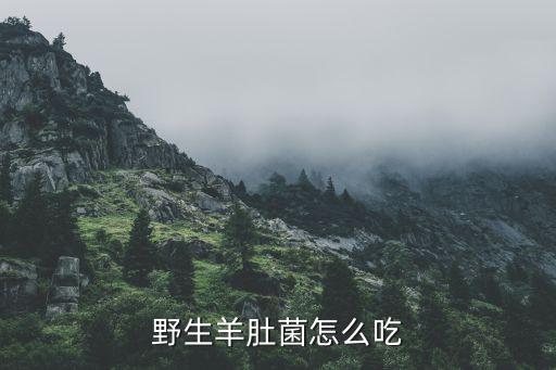 野生羊肚菌怎么吃