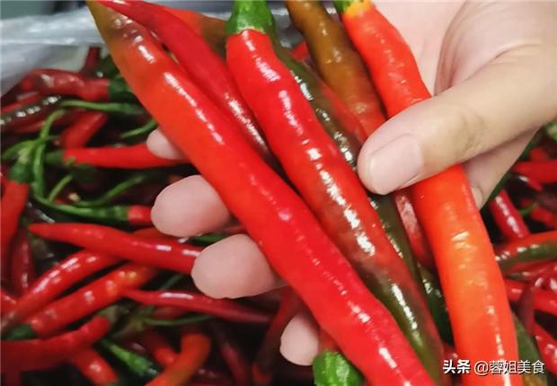 辣椒种植四川技术与管理_四川辣椒种植技术_辣椒种植四川技术指导