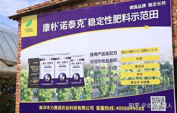 泰顺种植致富果_种植致富宝典_大棚樱桃种植成功致富案例