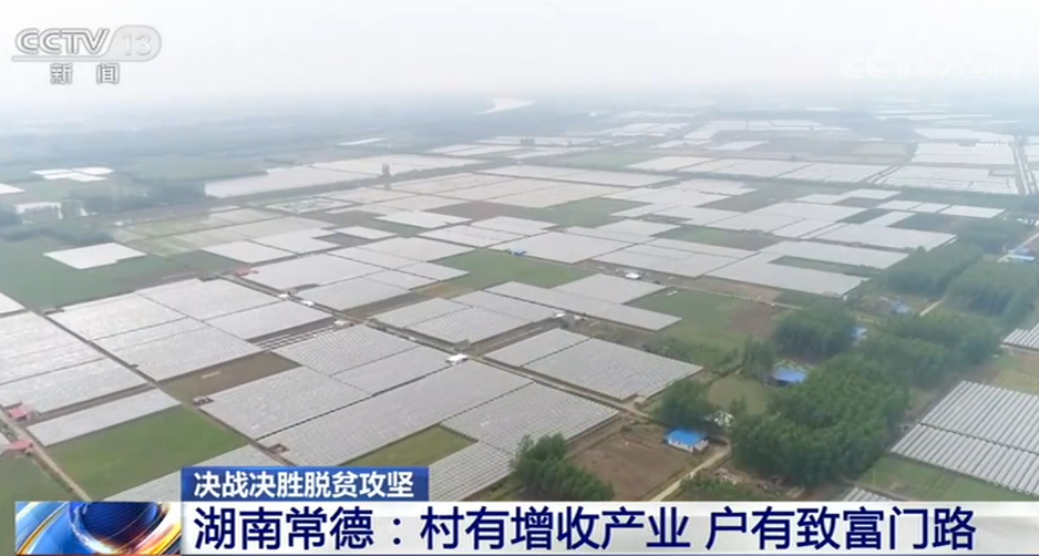 致富门路种植公司_种植致富业_致富种植门路公司怎么样