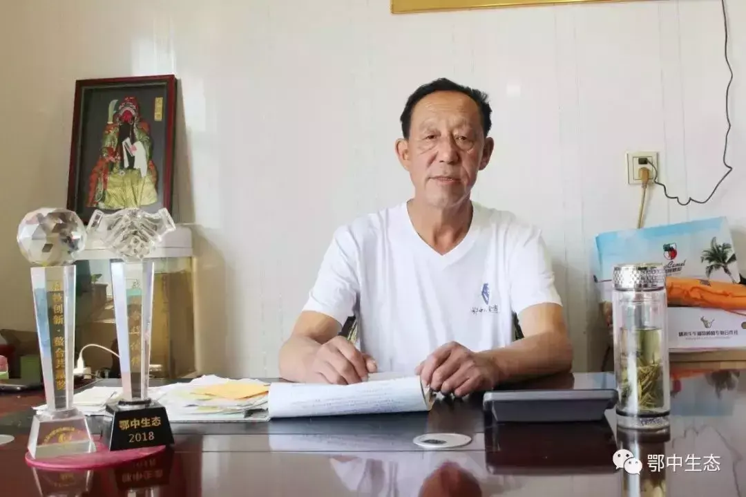 兰花养殖技术视频_兰花养殖方法和注意事项视频_西兰花的养殖技术