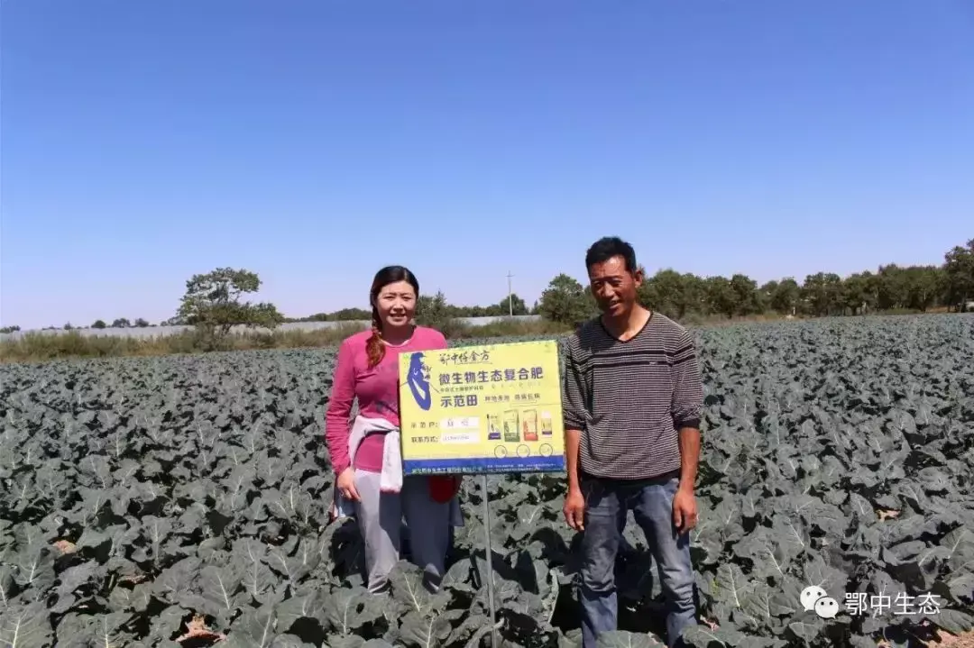 兰花养殖方法和注意事项视频_兰花养殖技术视频_西兰花的养殖技术