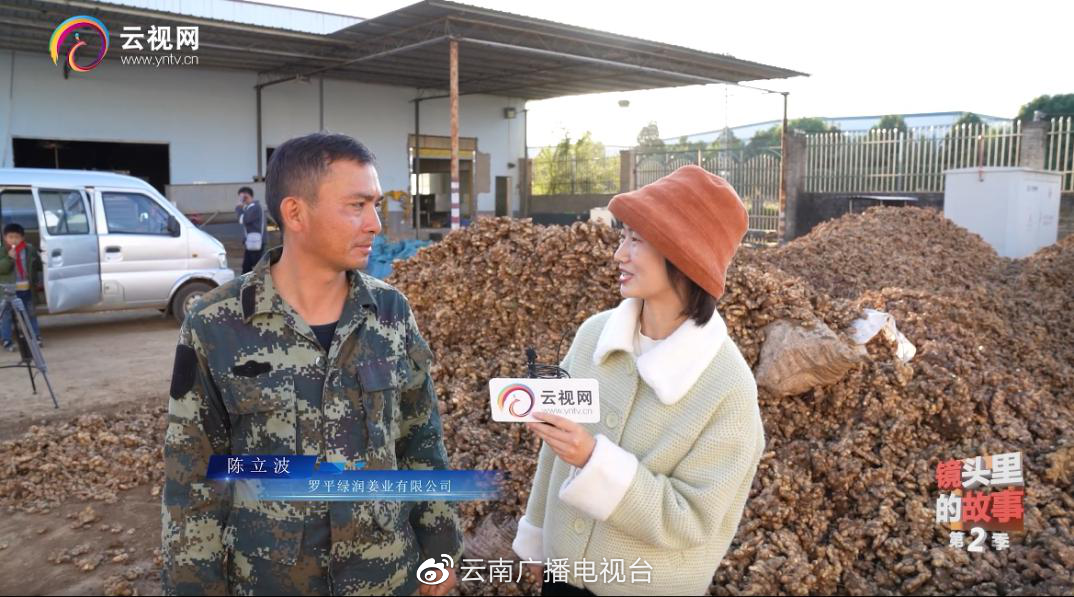 生姜种植致富经_种植生姜致富人_致富生姜种植人是谁