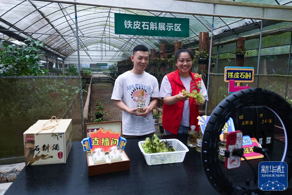 三农种植致富技术_三农致富经种植项目_致富经创业项目三农种植业