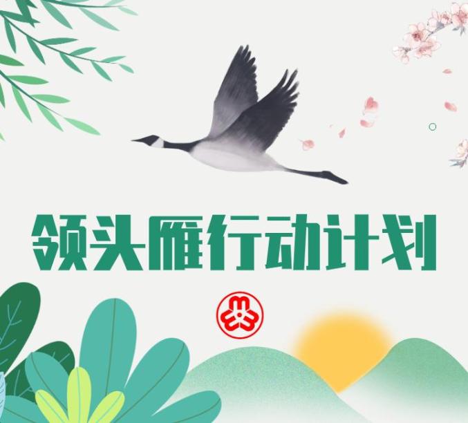 种植芨芨草致富_致富种植芨芨草视频_芨芨草种子价格