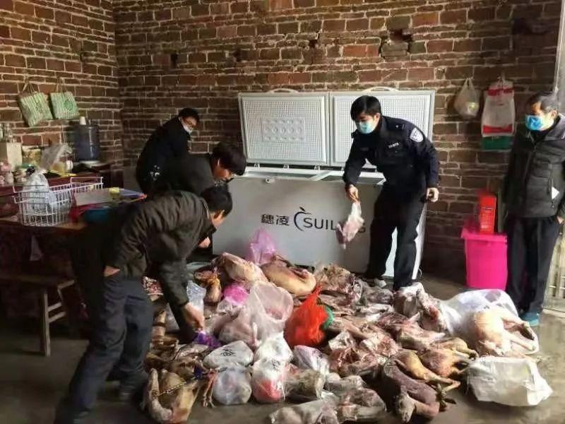 麂子养殖_致富经麂子的养殖技术_麂子养殖前景