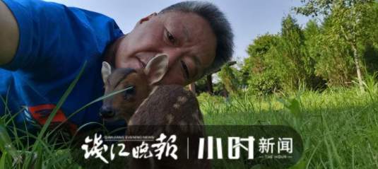 黄麂养殖基地_致富经黄麂养殖视频_黄麂养殖技术视频