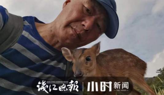 黄麂养殖基地_致富经黄麂养殖视频_黄麂养殖技术视频