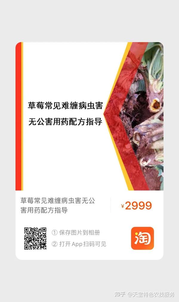 种植草莓能致富吗_草莓种植致富经_致富能种植草莓吗