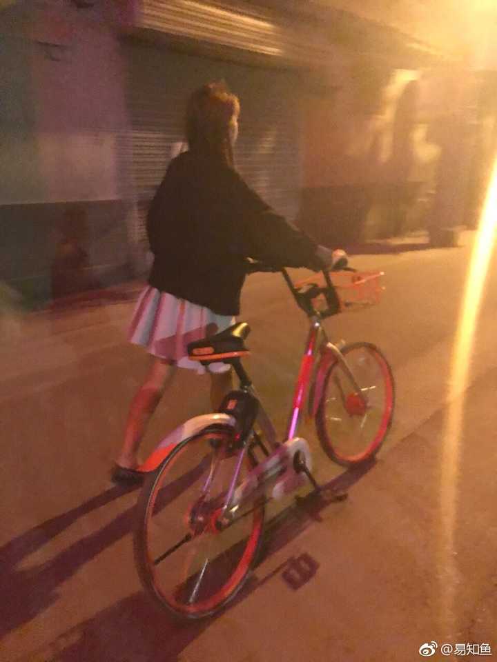 黄瓜超高产优质栽培技术问答_优质猪肉生产技术问答_优质问答真实经验分享